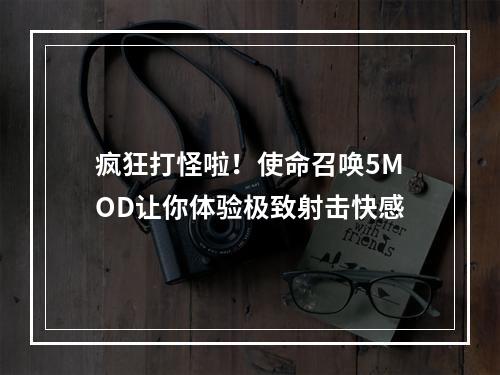 疯狂打怪啦！使命召唤5MOD让你体验极致射击快感