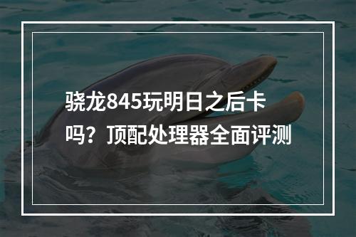 骁龙845玩明日之后卡吗？顶配处理器全面评测