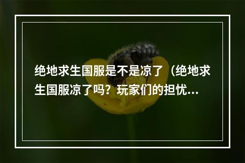 绝地求生国服是不是凉了（绝地求生国服凉了吗？玩家们的担忧并非虚无缥缈！）