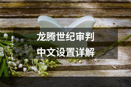 龙腾世纪审判中文设置详解