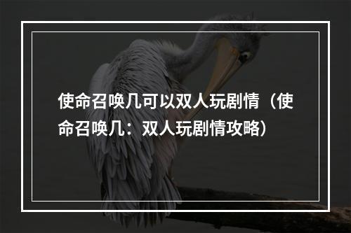 使命召唤几可以双人玩剧情（使命召唤几：双人玩剧情攻略）