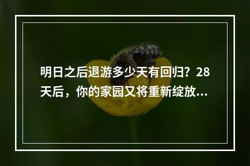 明日之后退游多少天有回归？28天后，你的家园又将重新绽放！