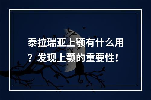 泰拉瑞亚上颚有什么用？发现上颚的重要性！