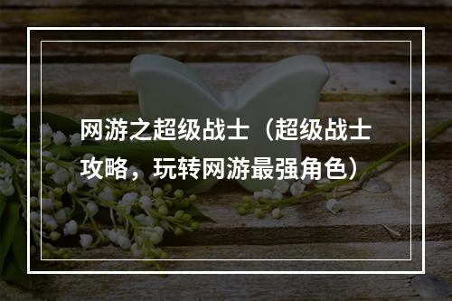 网游之超级战士（超级战士攻略，玩转网游最强角色）