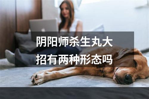 阴阳师杀生丸大招有两种形态吗