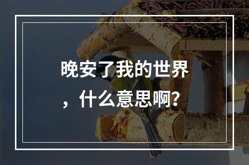 晚安了我的世界，什么意思啊？