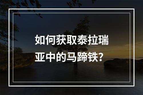 如何获取泰拉瑞亚中的马蹄铁？