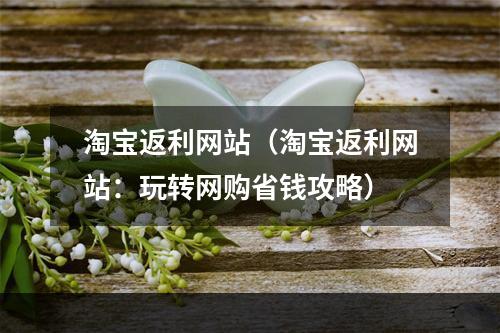 淘宝返利网站（淘宝返利网站：玩转网购省钱攻略）