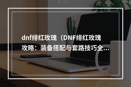 dnf绯红玫瑰（DNF绯红玫瑰攻略：装备搭配与套路技巧全解析）