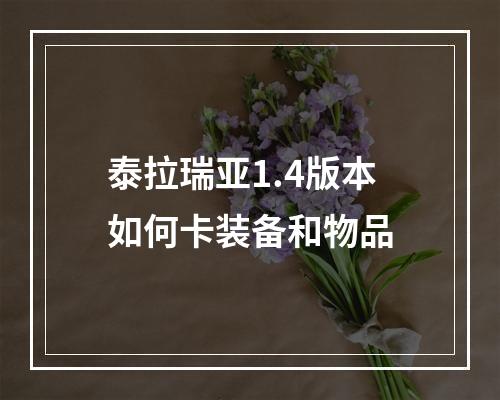 泰拉瑞亚1.4版本如何卡装备和物品