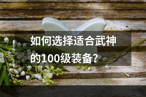 如何选择适合武神的100级装备？