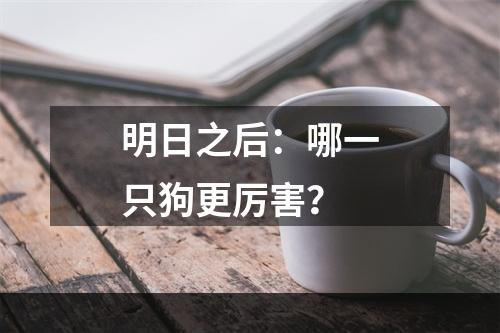 明日之后：哪一只狗更厉害？