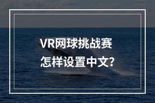 VR网球挑战赛怎样设置中文？