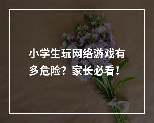 小学生玩网络游戏有多危险？家长必看！