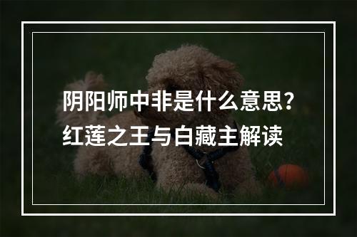 阴阳师中非是什么意思？红莲之王与白藏主解读