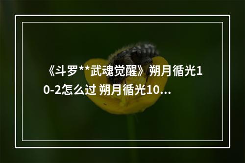 《斗罗**武魂觉醒》朔月循光10-2怎么过 朔月循光10-2过关阵容--手游攻略网