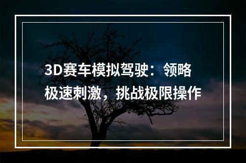 3D赛车模拟驾驶：领略极速刺激，挑战极限操作