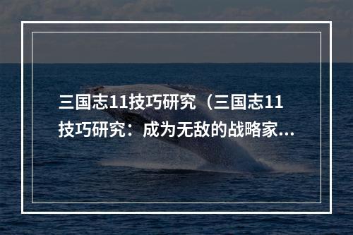 三国志11技巧研究（三国志11技巧研究：成为无敌的战略家）