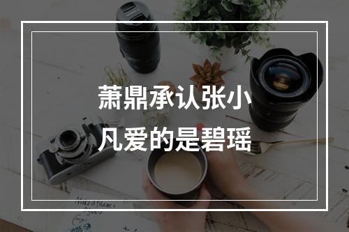 萧鼎承认张小凡爱的是碧瑶