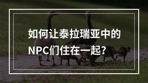 如何让泰拉瑞亚中的NPC们住在一起？