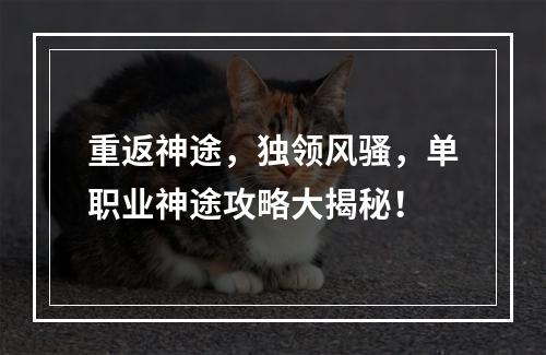 重返神途，独领风骚，单职业神途攻略大揭秘！