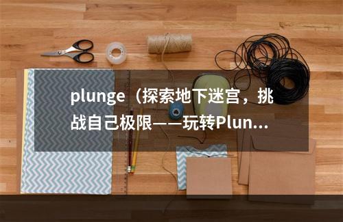 plunge（探索地下迷宫，挑战自己极限——玩转Plunge）