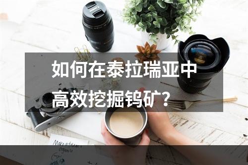 如何在泰拉瑞亚中高效挖掘钨矿？