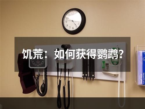 饥荒：如何获得鹦鹉？