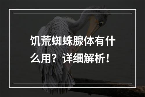 饥荒蜘蛛腺体有什么用？详细解析！