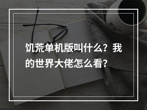 饥荒单机版叫什么？我的世界大佬怎么看？