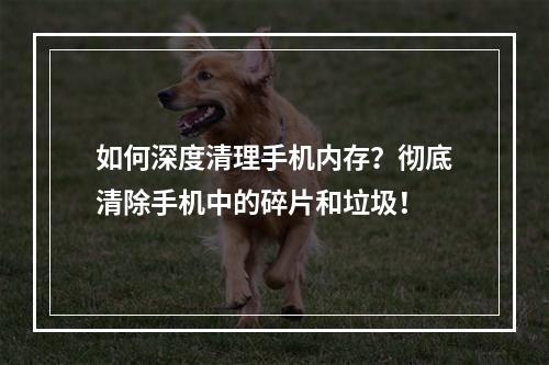 如何深度清理手机内存？彻底清除手机中的碎片和垃圾！