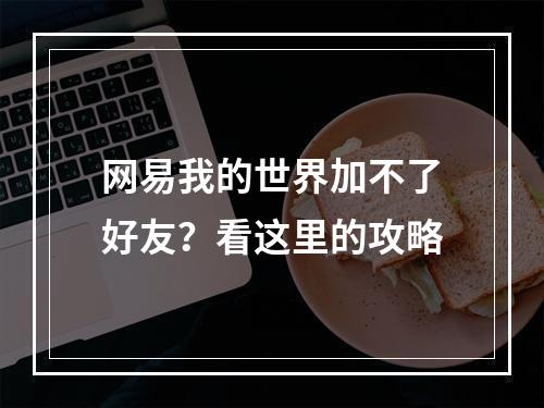 网易我的世界加不了好友？看这里的攻略