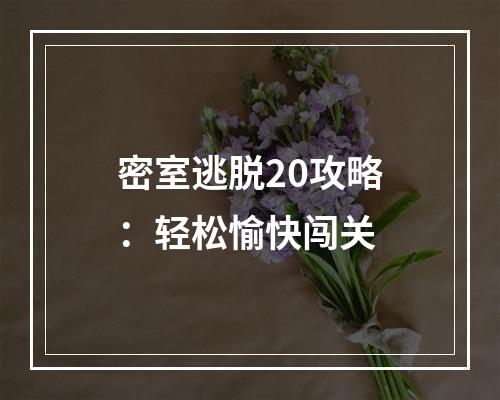 密室逃脱20攻略：轻松愉快闯关