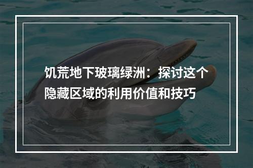 饥荒地下玻璃绿洲：探讨这个隐藏区域的利用价值和技巧