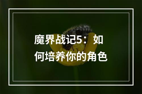 魔界战记5：如何培养你的角色