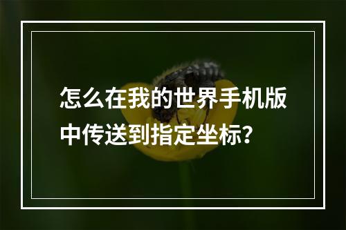 怎么在我的世界手机版中传送到指定坐标？