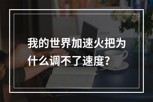 我的世界加速火把为什么调不了速度？