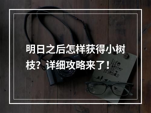 明日之后怎样获得小树枝？详细攻略来了！