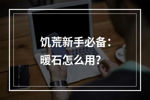 饥荒新手必备：暖石怎么用？