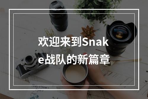 欢迎来到Snake战队的新篇章