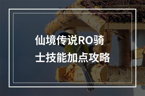 仙境传说RO骑士技能加点攻略