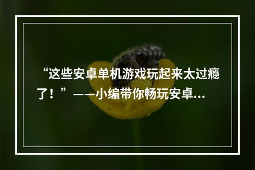 “这些安卓单机游戏玩起来太过瘾了！”——小编带你畅玩安卓手机上的好游戏