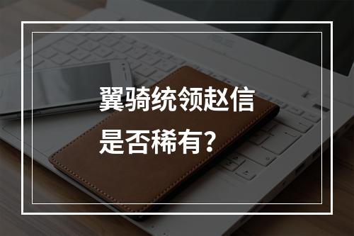 翼骑统领赵信是否稀有？