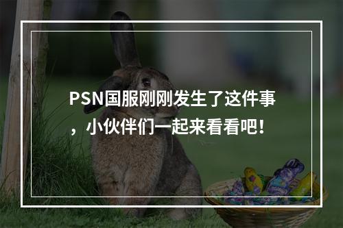 PSN国服刚刚发生了这件事，小伙伴们一起来看看吧！