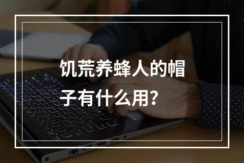 饥荒养蜂人的帽子有什么用？