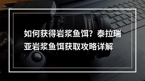 如何获得岩浆鱼饵？泰拉瑞亚岩浆鱼饵获取攻略详解