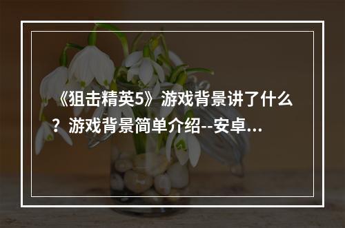 《狙击精英5》游戏背景讲了什么？游戏背景简单介绍--安卓攻略网