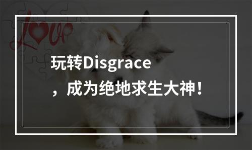 玩转Disgrace，成为绝地求生大神！