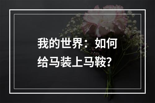 我的世界：如何给马装上马鞍？