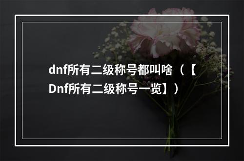 dnf所有二级称号都叫啥（【Dnf所有二级称号一览】）